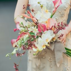 SOLA KOBEの写真6枚目