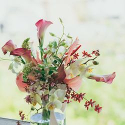 SOLA KOBEの写真13枚目