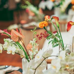 SOLA KOBEの写真1枚目