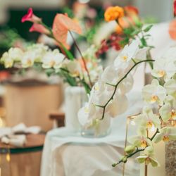 SOLA KOBEの写真33枚目