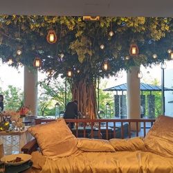 SOLA KOBEの写真31枚目