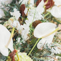 THE SORAKUEN の写真13枚目