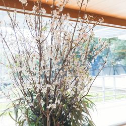 THE SORAKUEN の写真23枚目