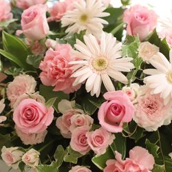 ベルヴィ アズ グレイスの写真10枚目