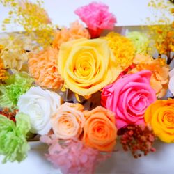 カサ・デ・アンジェラ青山の写真13枚目