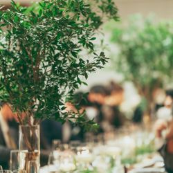 SOLA KOBEの写真32枚目