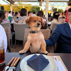 葛西臨海公園ウエディング Denim-デニム-の写真2枚目