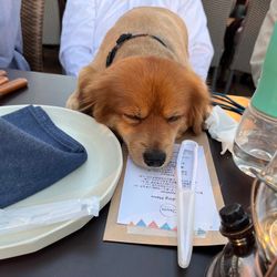 葛西臨海公園ウエディング Denim-デニム-の写真21枚目