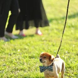 葛西臨海公園ウエディング Denim-デニム-の写真32枚目