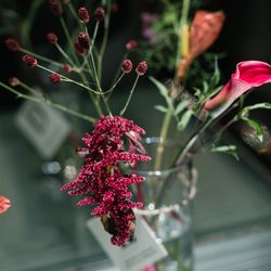 SOLA KOBEの写真4枚目