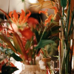 SOLA KOBEの写真9枚目