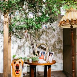 萬屋本店－KAMAKURA HASE est１８０６－の写真16枚目