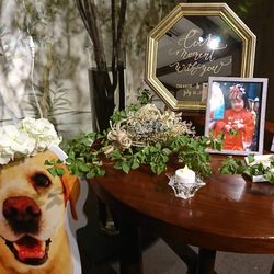 萬屋本店－KAMAKURA HASE est１８０６－の写真22枚目