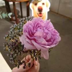 萬屋本店－KAMAKURA HASE est１８０６－の写真28枚目