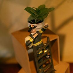 エルム ガーデンの写真27枚目