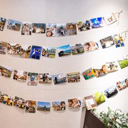 ウェディングスホテル・ベルクラシック東京の写真3枚目