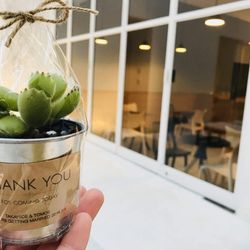 エネコ東京の写真5枚目