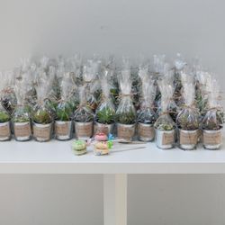 エネコ東京の写真2枚目