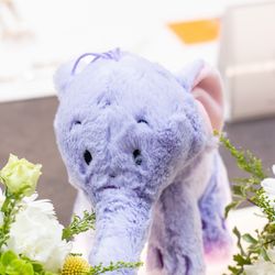 ウェディングスホテル・ベルクラシック東京の写真23枚目