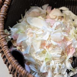 ウェディングスホテル・ベルクラシック東京の写真30枚目