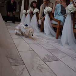 表参道TERRACEの写真36枚目