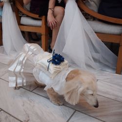 表参道TERRACEの写真27枚目