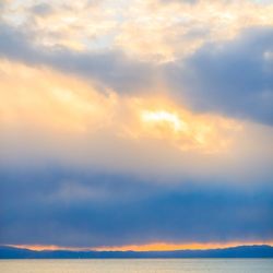 アマンダンブルー鎌倉の写真20枚目