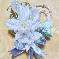 カノビアーノ 福岡の写真34枚目