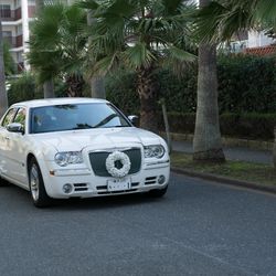 リビエラ逗子マリーナの写真35枚目