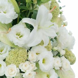 リビエラ逗子マリーナの写真24枚目