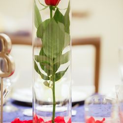 ザ・ミーツ マリーナテラスの写真12枚目