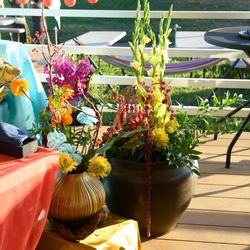 葛西臨海公園ウエディング Denim-デニム-の写真4枚目