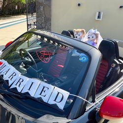 ザ・ミーツ マリーナテラスの写真19枚目