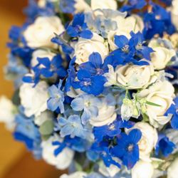 ザ・ミーツ マリーナテラスの写真35枚目