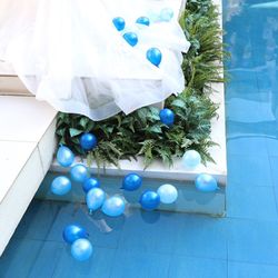 ザ・ミーツ マリーナテラスの写真18枚目