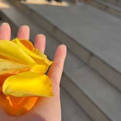 ザ・ミーツ マリーナテラスの写真35枚目