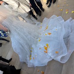 ザ・ミーツ マリーナテラスの写真20枚目