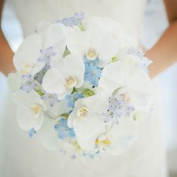 ザ・ミーツ マリーナテラスの写真29枚目