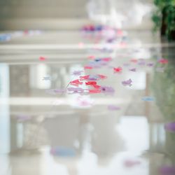 ザ・ミーツ マリーナテラスの写真32枚目