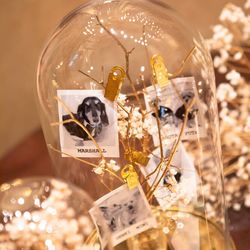 KOTOWA 鎌倉 鶴ヶ岡会館の写真5枚目