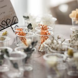 ルーキスの写真11枚目