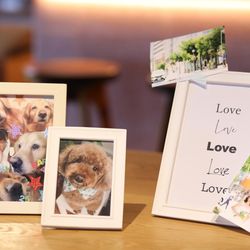 TOASTの写真14枚目