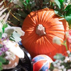 ホテル雅叙園東京の写真32枚目