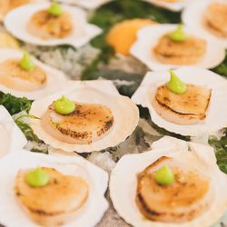 エネコ東京の写真16枚目