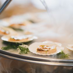 エネコ東京の写真32枚目