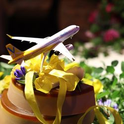 スカイ ウェディング 羽田の写真18枚目