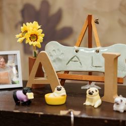 ザ・ミーツ マリーナテラスの写真19枚目