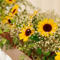 ザ・ミーツ マリーナテラスの写真28枚目