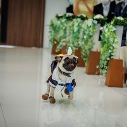 ザ・ミーツ マリーナテラスの写真28枚目