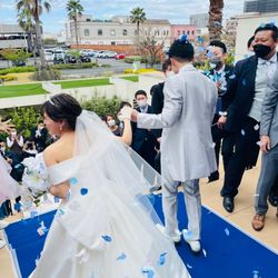 ザ・ミーツ マリーナテラスの写真35枚目